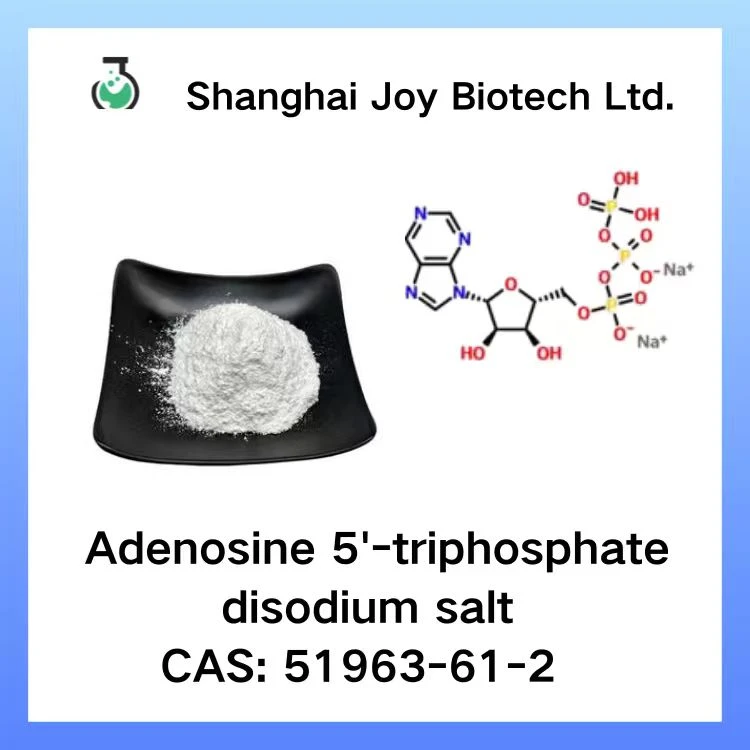 Adenosine 5'-triphosphate Disodium Salt CAS 51963-61-2